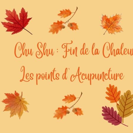 « Rituels Bien-Être pour Choyer le Corps à Chu Shu - Points d’Acupuncture - Livret »