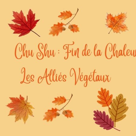 « Les Alliés Végétaux pour une hydratation bienfaisante à Chu Shu »