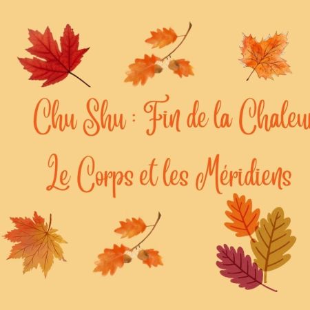 « Le Souffle en Mouvement pour le Corps et les Méridiens à Chu Shu »