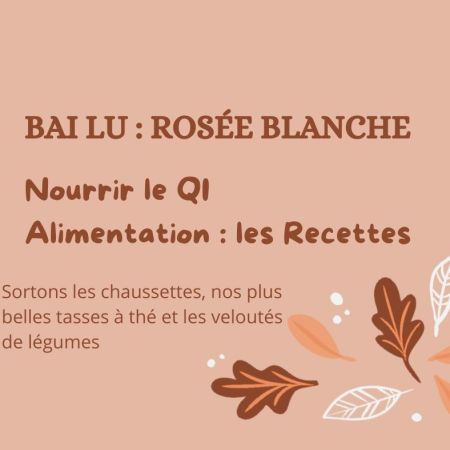 Bai Lu : « Rosée Blanche » (7-8 septembre / 22-23 septembre) - Nourrir le Qi