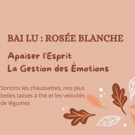 « Apaiser l’Esprit - Gestion des Émotions pour Bai Lu »