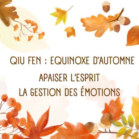 « Apaiser l’Esprit - Gestion des Émotions pour Qiu Fen »