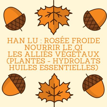 « Les Alliés Végétaux pour une hydratation réconfortante à Han Lu »