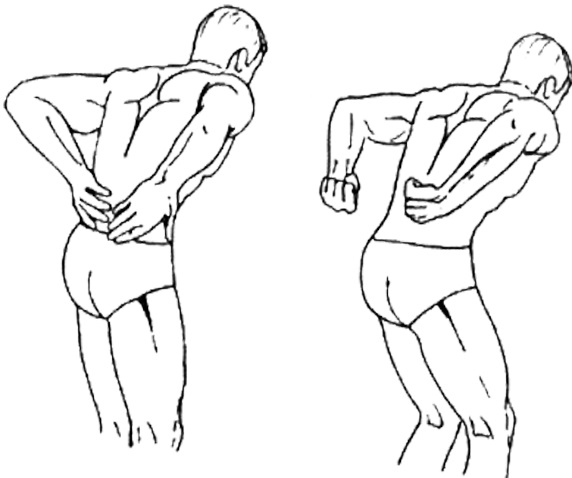 Frottement des Reins (Mo Fa Shen, Massage des Lombes) pour la période Li Dong « Début de l’Hiver » selon le Yang Sheng Fa