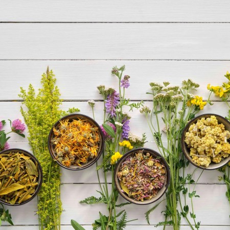 Booster son Qi du Foie à Li Chun avec des plantes alliées