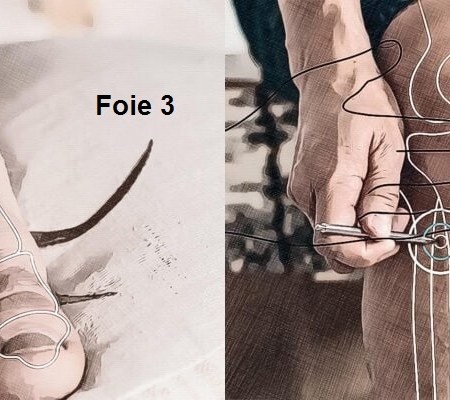 Chūn Fēn (春分) : l’équilibre parfait du printemps – 2 pratiques MTC pour harmoniser yin et yang dans votre quotidien