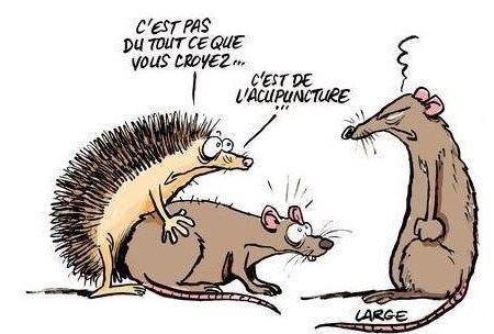 Li Xia (立夏, « Début de l’Été ») : Les points d’acupression qui calment votre Cœur (quand tout part en vrille) - Points clés pour apaiser l’agitation et retrouver son nord au début de l’été