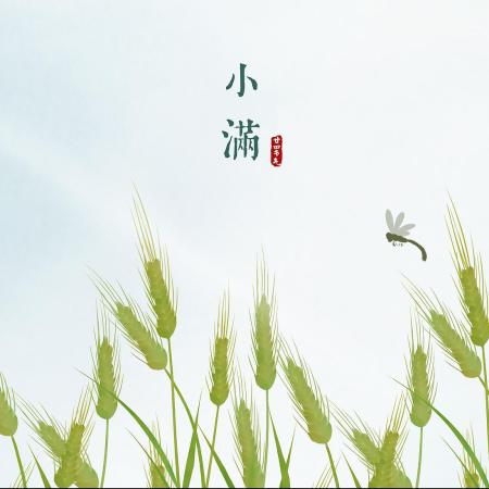 Xiao Man (小满, « Petite Plénitude » ou « Grain Full » ou « Grain Buds » ou « Little Fullness » : Les plantes qui sauvent Xiao Man (et son humeur) – Les Alliés végétaux