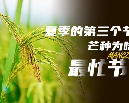 Mang Zhong (芒种, « Grain en Épi ») (Grain in Ear) : Mang Zhong calme son Feu et son Humidité (avant de devenir complètement ronchon)