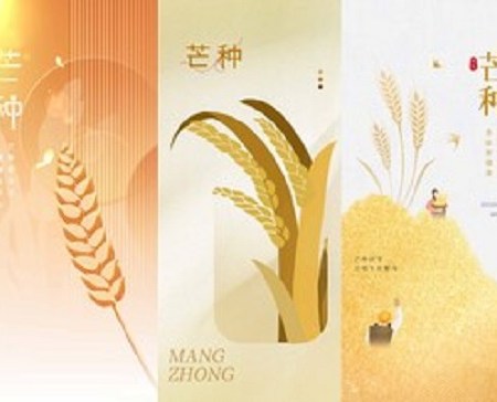 Mang Zhong (芒种, « Grain en Épi ») (Grain in Ear) : Petits rituels bien-être pour prendre soin de soi et retrouver son centre (sans fondre en flaque moite)