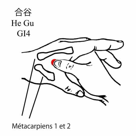 Fin de la Chaleur : Chu Shu (处暑) : les points d’acupuncture qui aident vraiment (sans avoir besoin d’un diplôme)