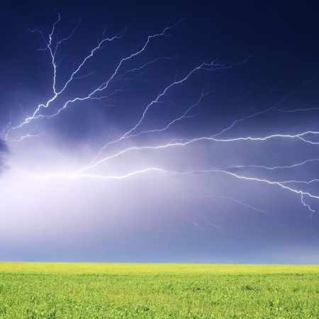 🌗 Premier Hou de Qiu Fen (du 22-23 septembre au 27-28 septembre environ) : le tonnerre se tait… et la nature range ses jouets d’été