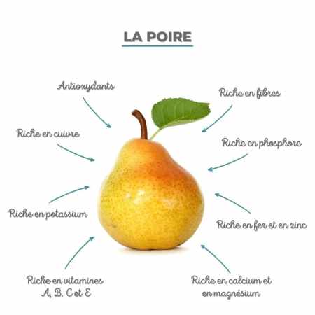 🌗 Premier Hou de Qiu Fen : la poire qui sauve les Poumons (et notre dignité de ne pas finir en raisin sec)