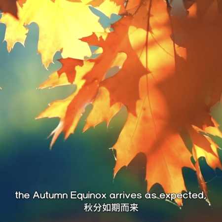 🌗 Qiu Fen (秋分) du 22-23 septembre au 7-8 octobre environ : le jour où le ciel coupe la poire en deux… et où l’automne arrête de faire semblant