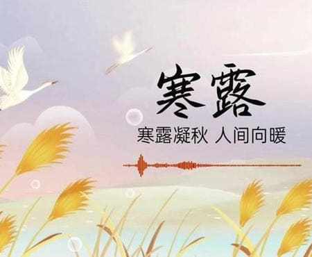 🍂☕🍄🥧 Premier Hou de Han Lu – 鸿雁来宾 (Hóng yàn lái bīn) du 8-9 octobre au 12-13 octobre environ : les dernières oies sauvages arrivent… en retard, et en invitées