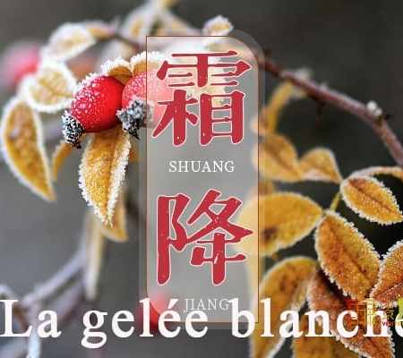🍂❄️🎃🌰 Shuang Jiang (霜降) du 23 octobre au 6-7 novembre environ : quand le givre descend pour de vrai… et que l’automne tire sa révérence