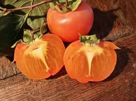 🥭🫐🍑🍋🫐 Après le premier Hou de Shuang Jiang : on mange des kakis (et on arrête de faire les malins)